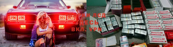 ГАЛЛЮЦИНОГЕННЫЕ ГРИБЫ Покров