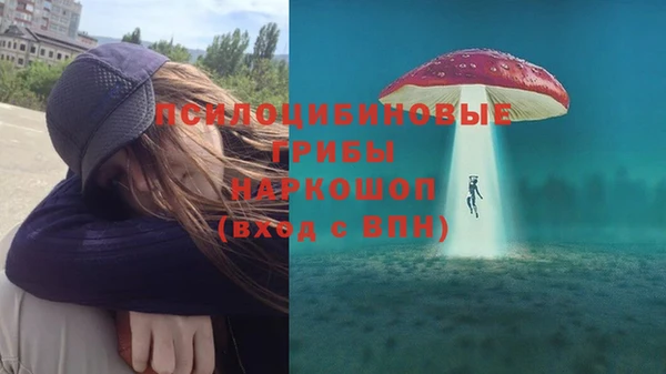 прущая мука Покровск