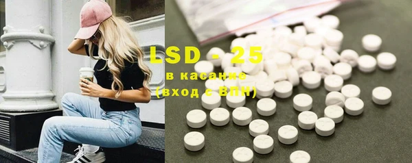 ГАЛЛЮЦИНОГЕННЫЕ ГРИБЫ Покров