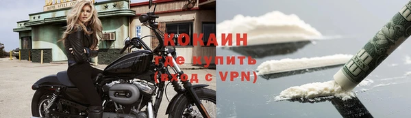 ГАЛЛЮЦИНОГЕННЫЕ ГРИБЫ Покров