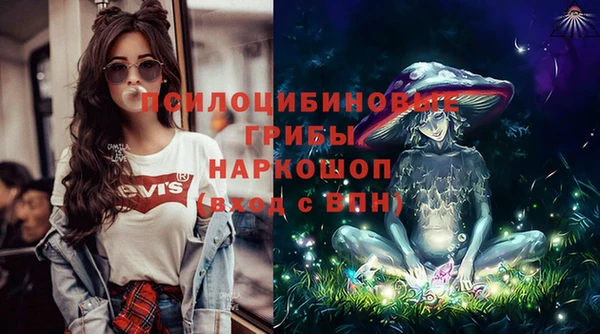крисы Покачи