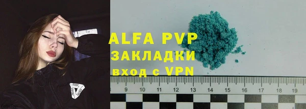 крисы Покачи