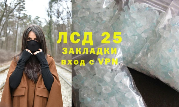 ГАЛЛЮЦИНОГЕННЫЕ ГРИБЫ Покров