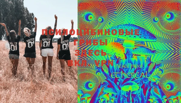 крисы Покачи