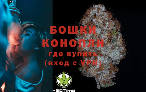 ГАЛЛЮЦИНОГЕННЫЕ ГРИБЫ Покров