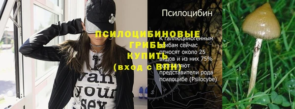 ГАЛЛЮЦИНОГЕННЫЕ ГРИБЫ Покров