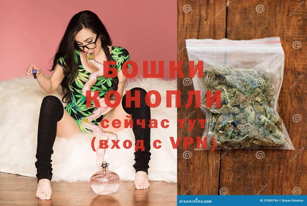 ГАЛЛЮЦИНОГЕННЫЕ ГРИБЫ Покров