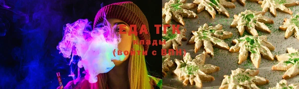 крисы Покачи