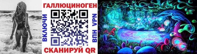 Купить где  Темников  Псилоцибиновые грибы прущие грибы 